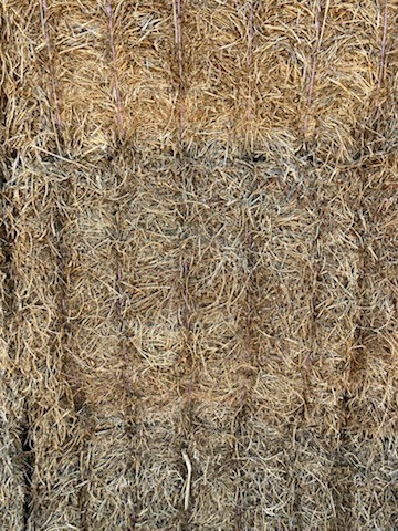 Vetch Hay 25/26