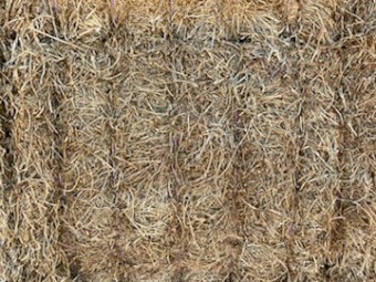 Vetch Hay 25/26