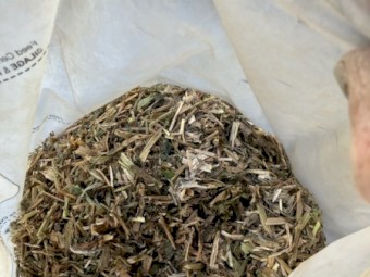 Vetch Hay 25/26