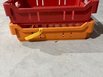 Nesting Fruit lugs or Picking Trays