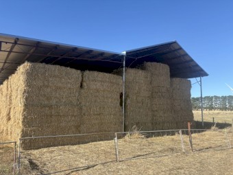 Barley Hay 8x4x3 Bales