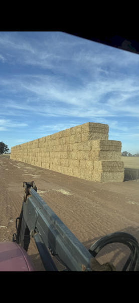 154mt Wheaten Straw 430kg 8x4x3 Bales