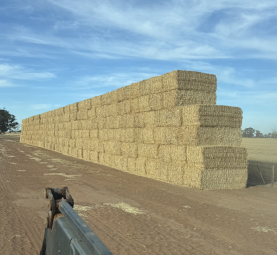 154mt Wheaten Straw 430kg 8x4x3 Bales