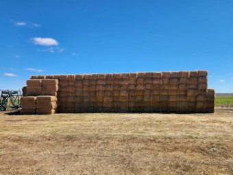 250mt Barley Straw 8x4x3 Bales