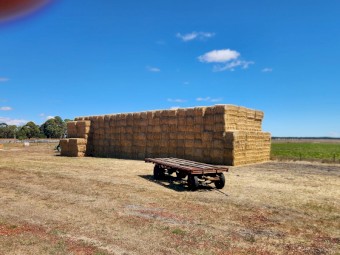 250mt Barley Straw 8x4x3 Bales