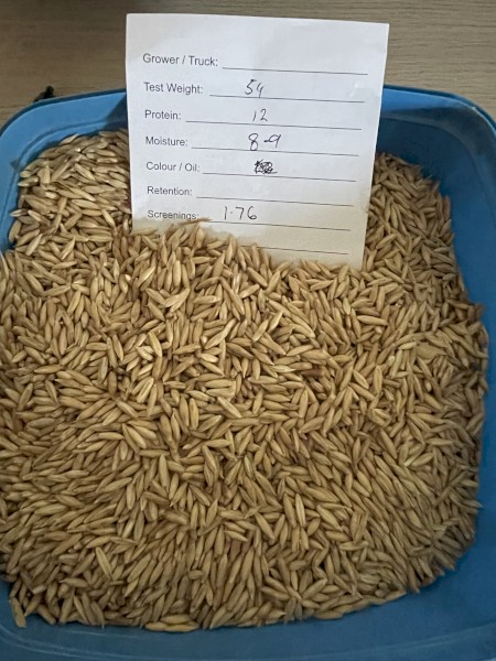 300mt Bannister Oats
