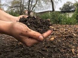 Grow Healthier Plants with Natural Fertilisers 