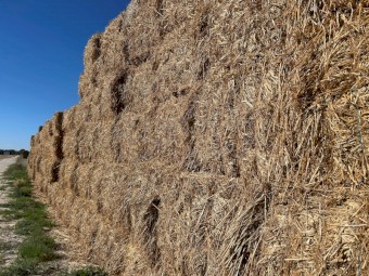 1100mt Oaten Hay 500kg 8x4x3 Bales