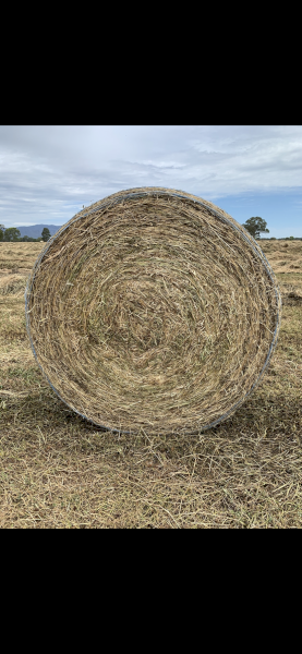 150 - Pasture Hay 400-420kg Rolls