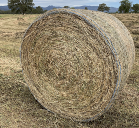 150 - Pasture Hay 400-420kg Rolls
