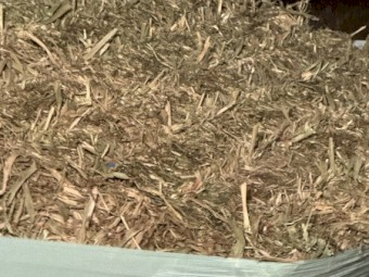 Sorghum Silage - Wrapped/irrigated