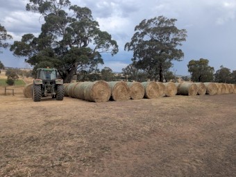 100 x Oaten Hay 5x4 Rounds