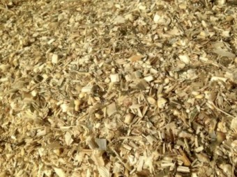 500mt Fine Chopped Corn Silage