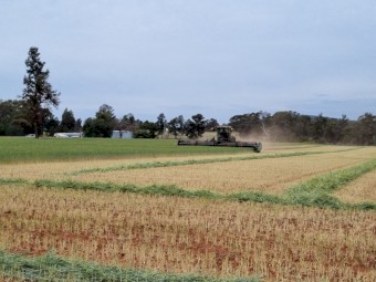 Windrowers Available For 2026 Harvest 