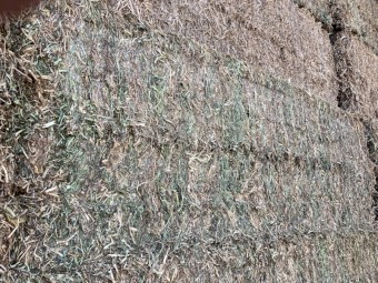 125mt Vetch / Pea Mix Hay 625kg 8x4x3 Bales