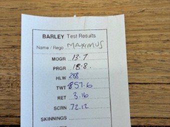 30 t BAR3 Barley