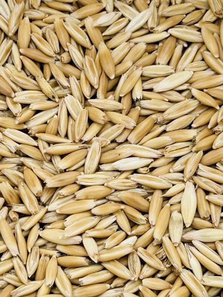 40mt Eurrabie Oats