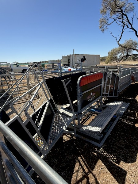 Combi Clamp Sheep Handler & Yards