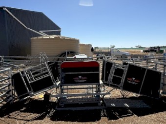 Combi Clamp Sheep Handler & Yards