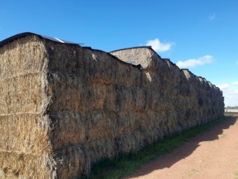 82mt Oaten Hay 590kg 8x4x3 Bales
