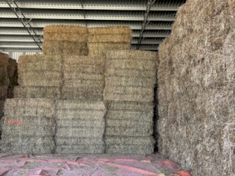 500mt Clover Ryegrass Hay 8x4x3 Bales