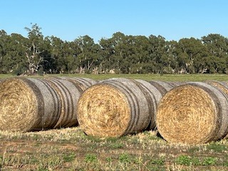 200 x Lucerne Hay 380kg 5x4 Round Bales