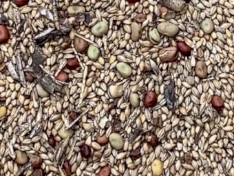 WANTED Seconds or Screenings Mixed Grain