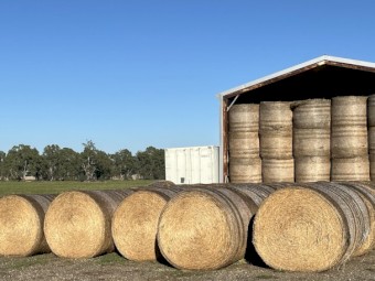 Lucerne, A1quality, 5x4 Round Bales