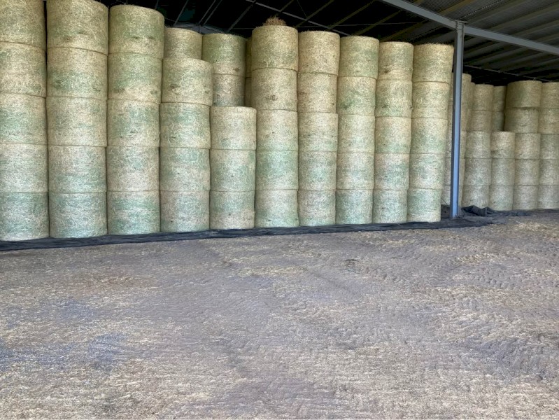 Wheaten Hay Round Bales, Fully Shedded.