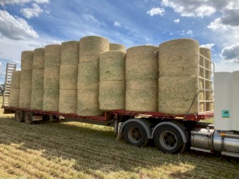Wheaten Hay Round Bales, Fully Shedded.