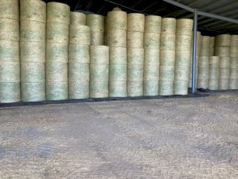 Wheaten Hay Round Bales, Fully Shedded.