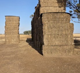 107mt Vetch Hay 600-650kg 8x4x3 Bales