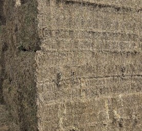 107mt Vetch Hay 600-650kg 8x4x3 Bales