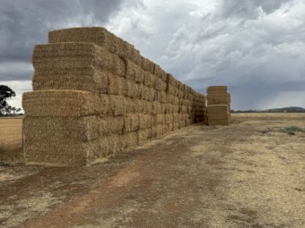 120mt Barley Tailings Straw
