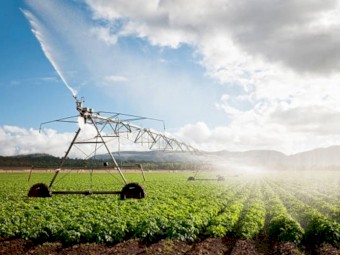 50 Meg litre Groundwater Water Access Licence –Sydney Basin Nepean Zone 2
