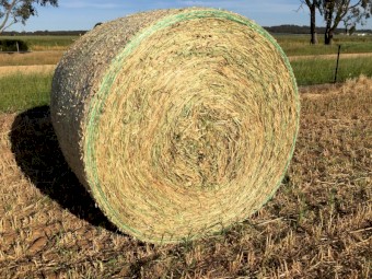 Oaten Hay Round Bales 