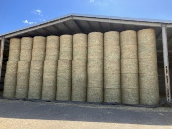 Oaten Hay Round Bales 
