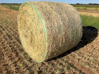 Oaten Hay Round Bales 