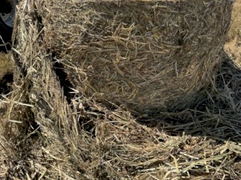 1500 Pasture Hay 4'x4'6" Rolls