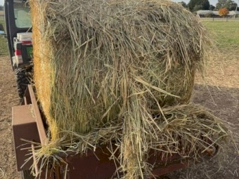 1500 Pasture Hay 4'x4'6" Rolls