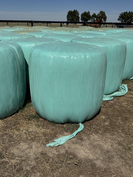 30 x Rye Clover Mix Silage 4'x4'6" Rolls