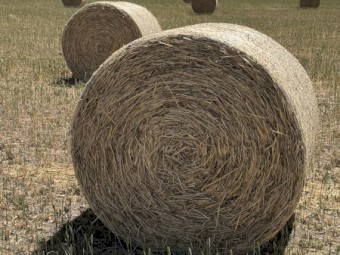 2000 Wheaten Hay 4'x4'6" Rolls