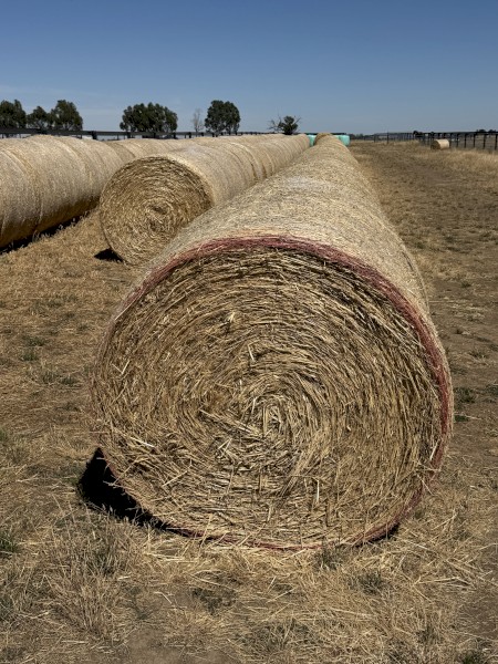 1000 Oaten Hay 4'x4'6" Rolls