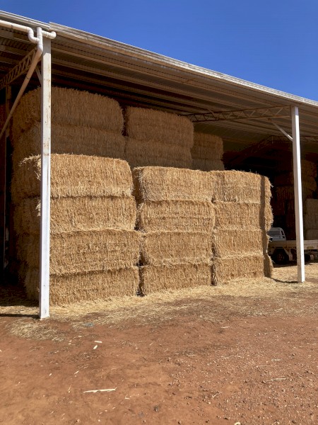 120 x Oaten Straw 8x4x3 Bales