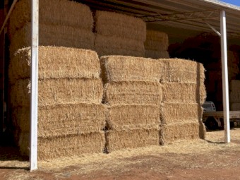 120 x Oaten Straw 8x4x3 Bales