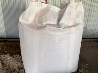 1.2mt Popany Vetch Seed