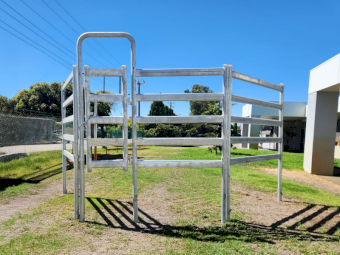 Cattle Gates - WA Made