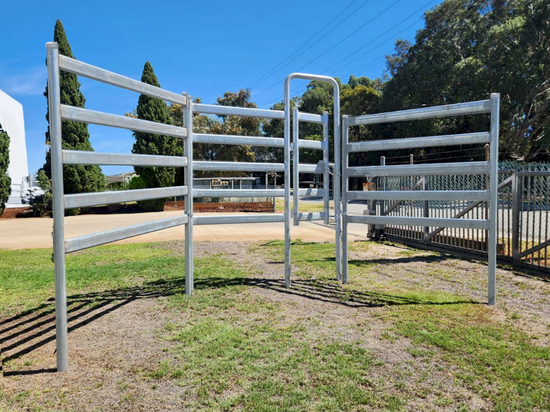 Cattle Panels / Fences - WA Made