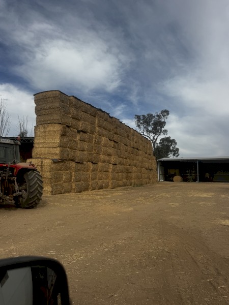 400mt Wheaten Straw