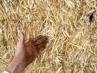 400mt Wheaten Straw